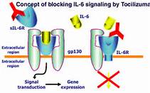 Tocilizumab